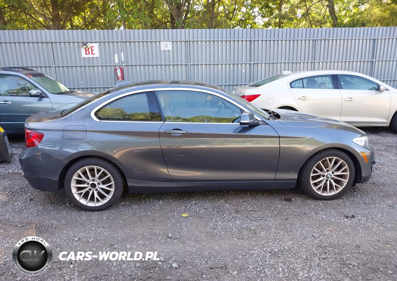2015 BMW 228I VIN:WBA1F5C52FVW98286 - 13