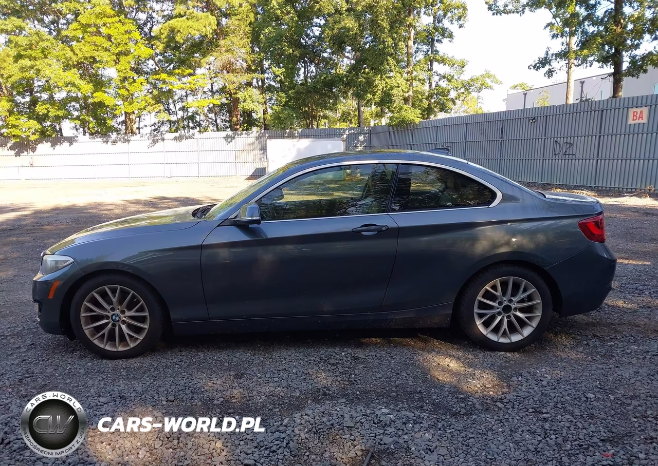 2015 BMW 228I VIN:WBA1F5C52FVW98286 - 14