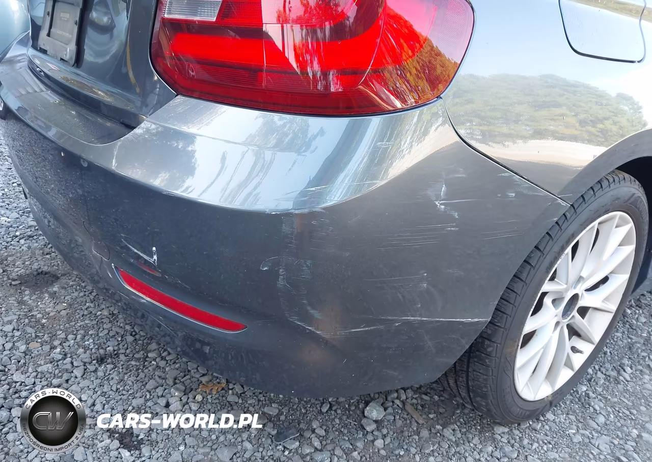 2015 BMW 228I VIN:WBA1F5C52FVW98286 - 17