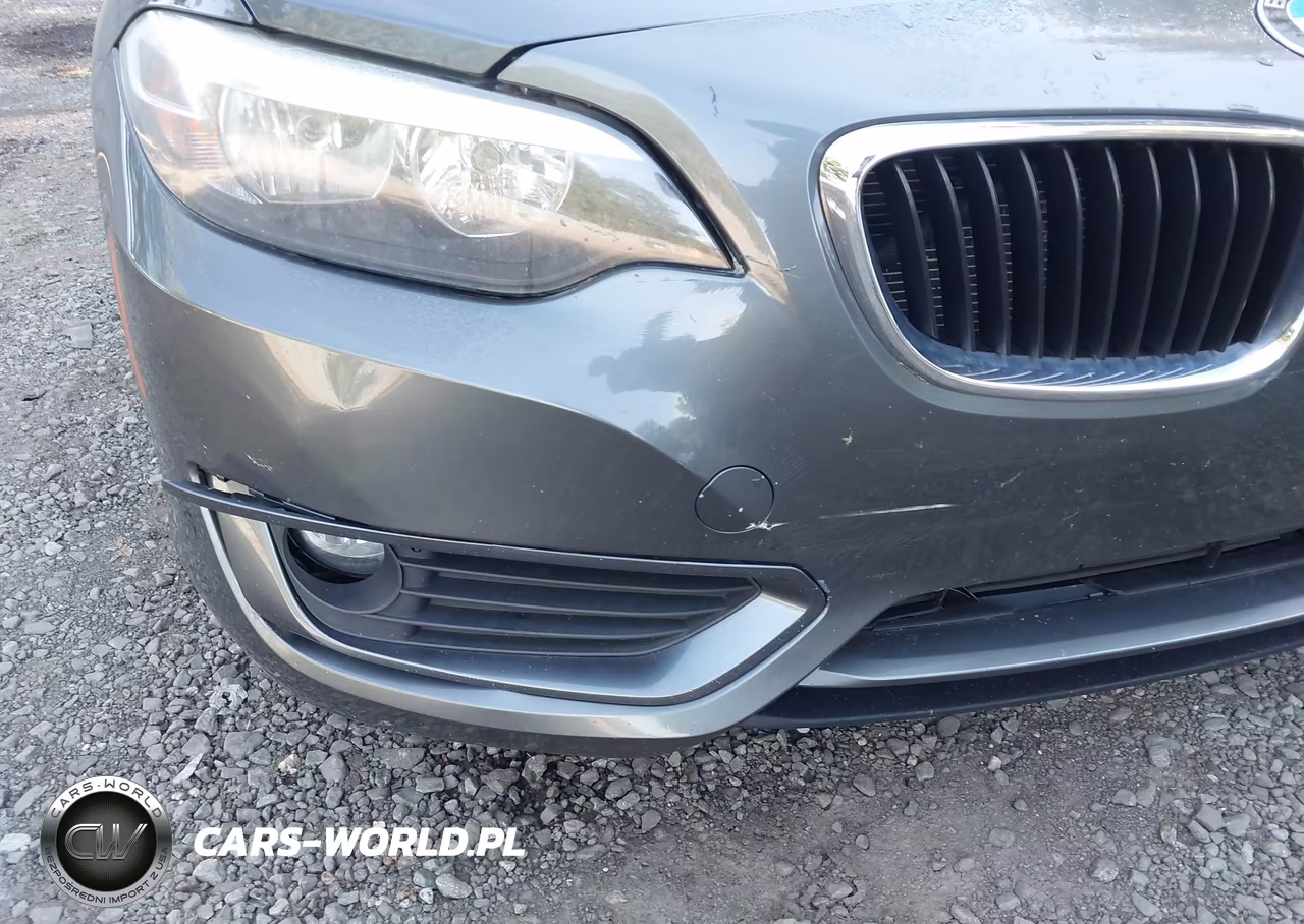2015 BMW 228I VIN:WBA1F5C52FVW98286 - 18