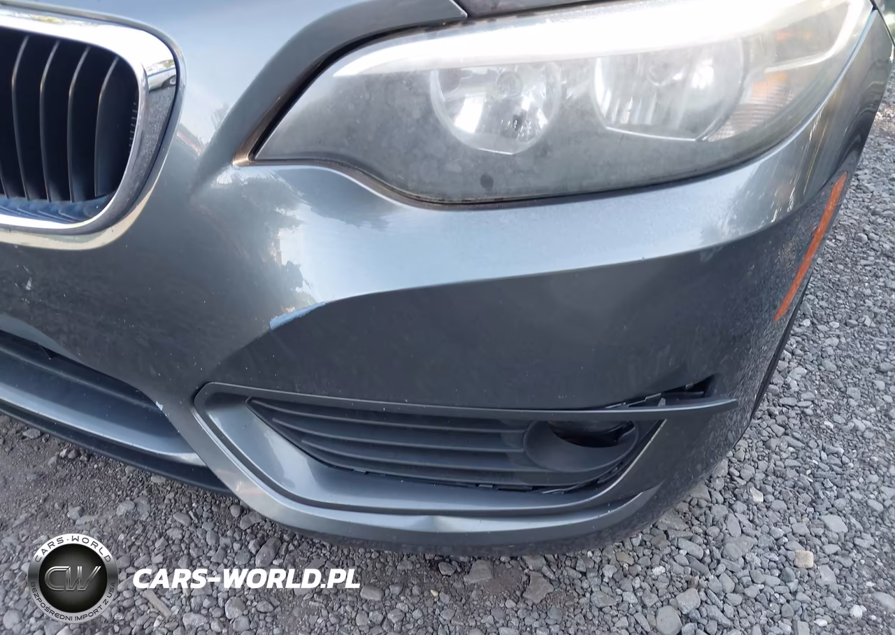 2015 BMW 228I VIN:WBA1F5C52FVW98286 - 19