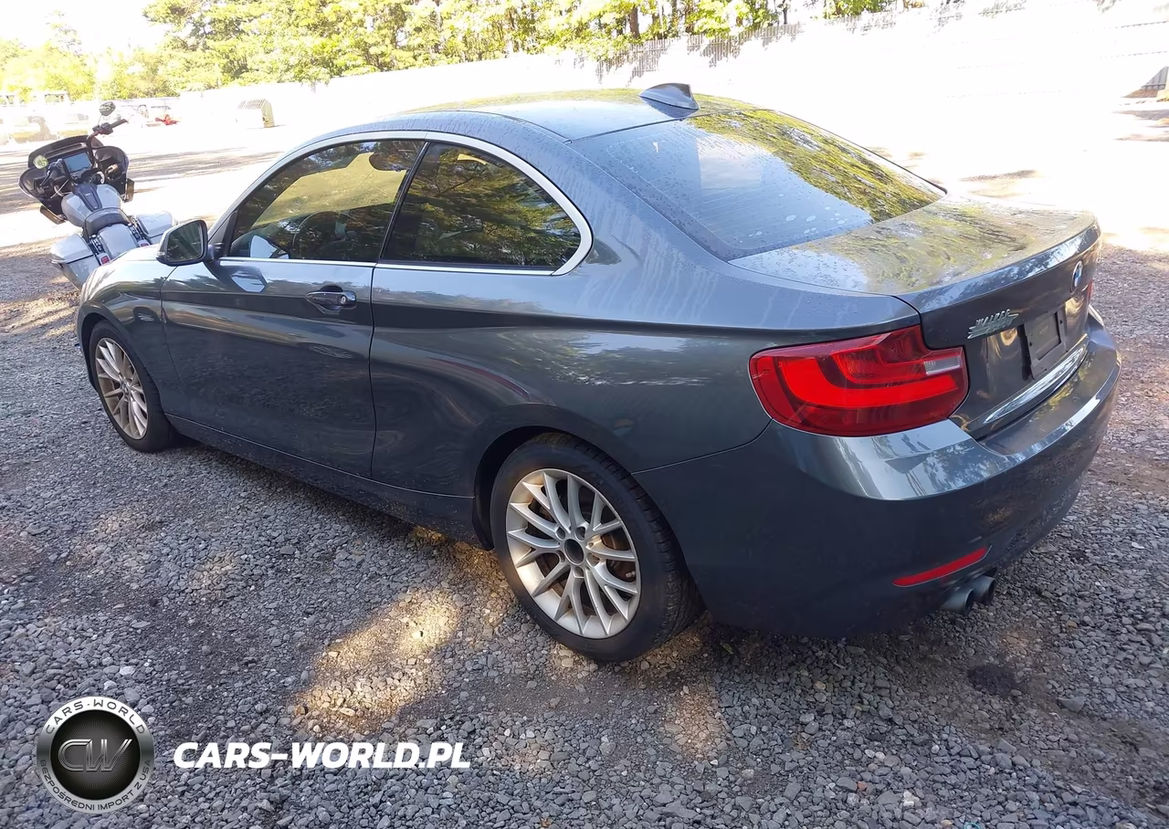 2015 BMW 228I VIN:WBA1F5C52FVW98286 - 3