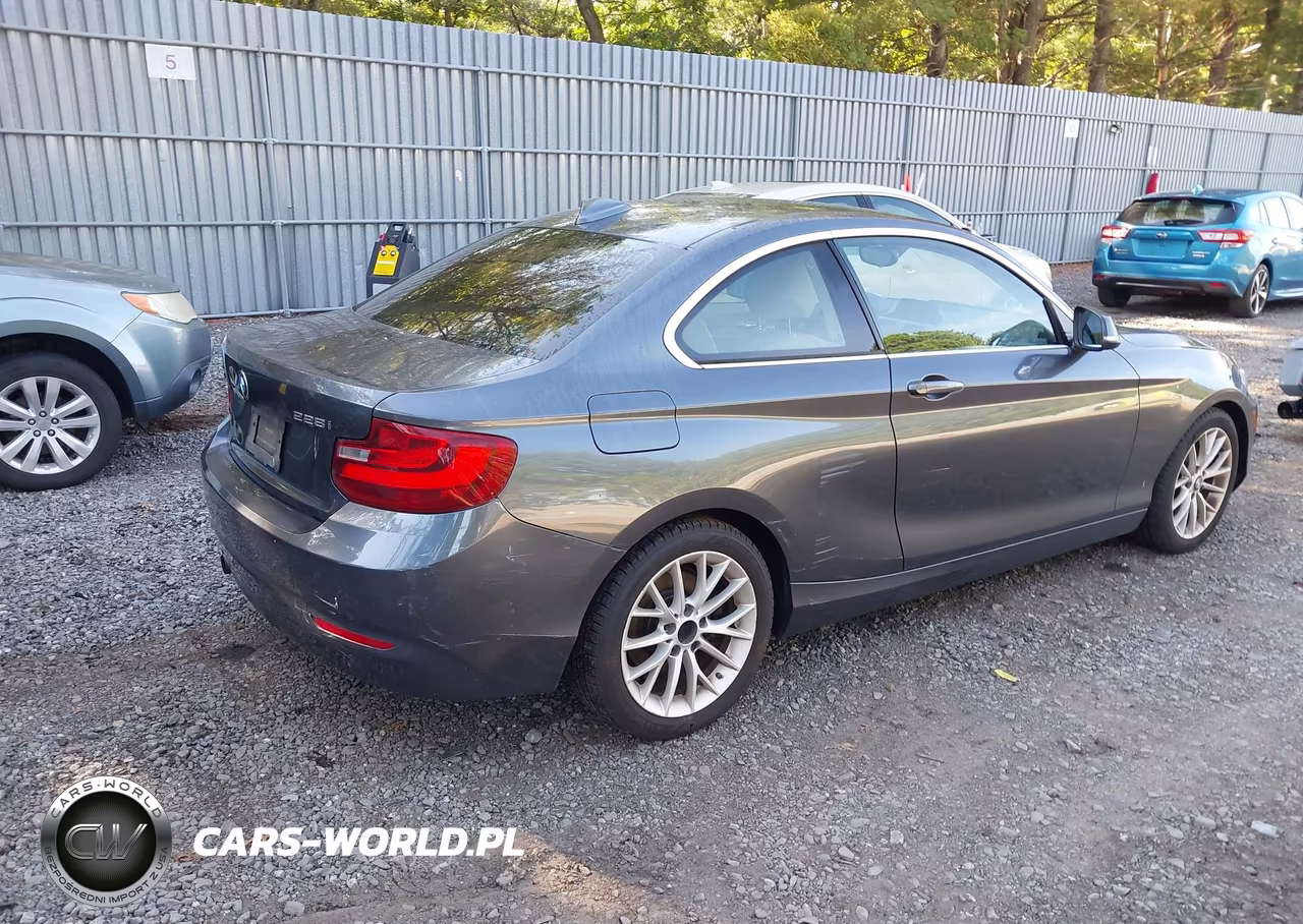 2015 BMW 228I VIN:WBA1F5C52FVW98286 - 4