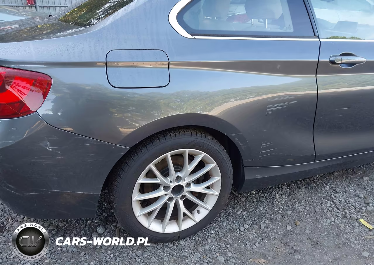 2015 BMW 228I VIN:WBA1F5C52FVW98286 - 6
