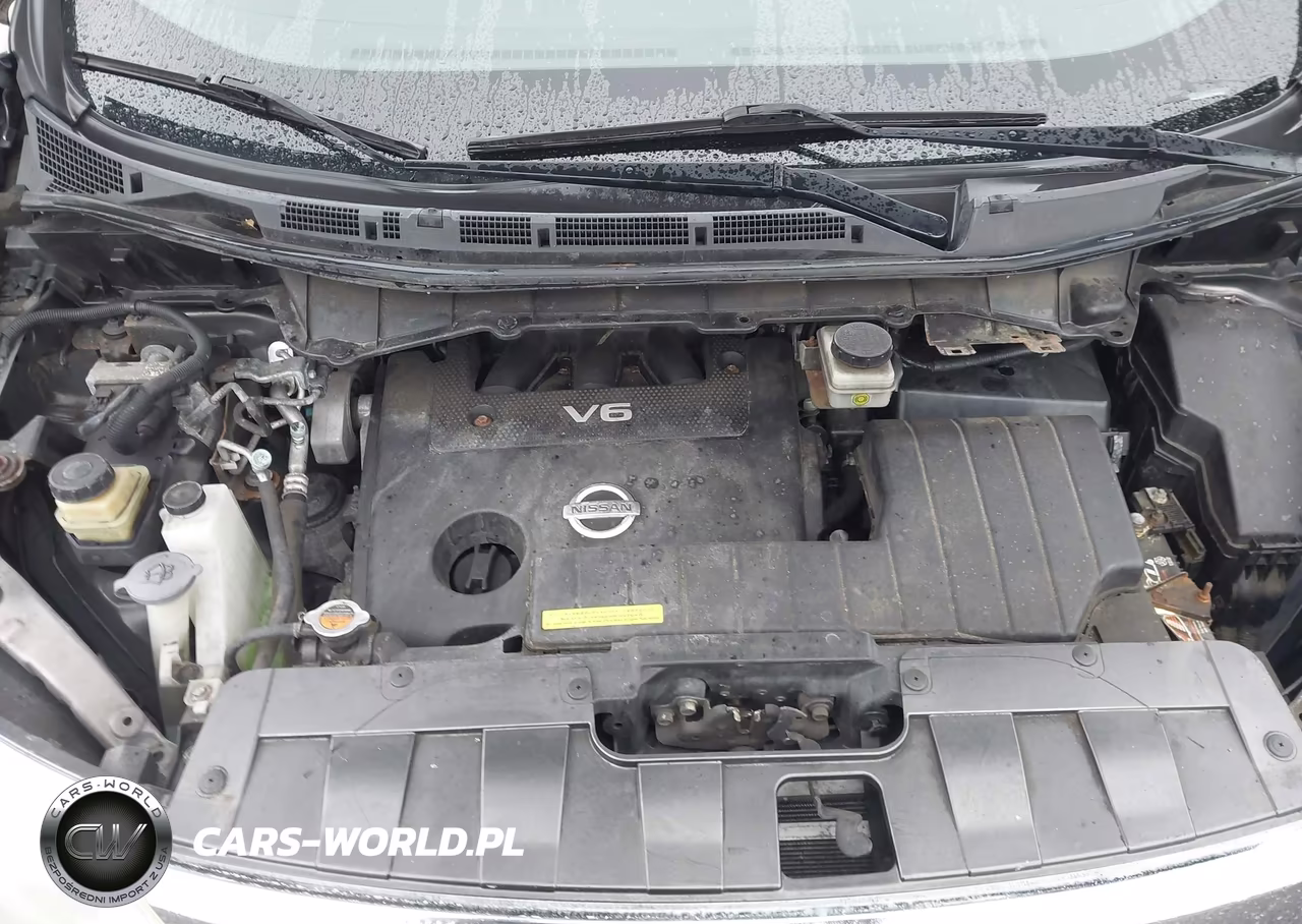 2016 Nissan Quest Platinum-S-Sl-Sv VIN:JN8AE2KP8G9153800 - 10