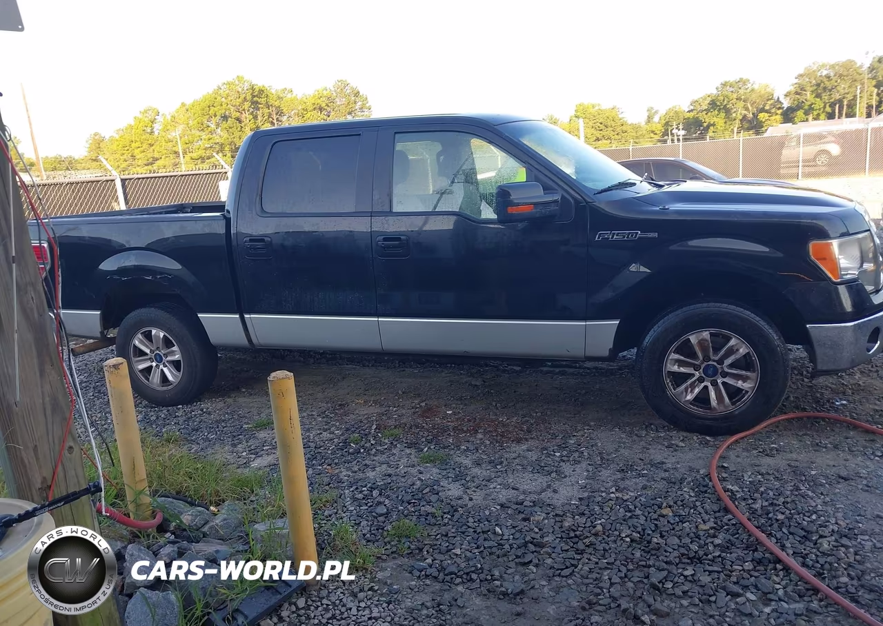 2010 Ford F-150 Fx2 Sport-Harley-Davidson-King Ranch-Lariat-Platinum-Xl-Xlt VIN:1FTFW1CV2AFA82463 - 13