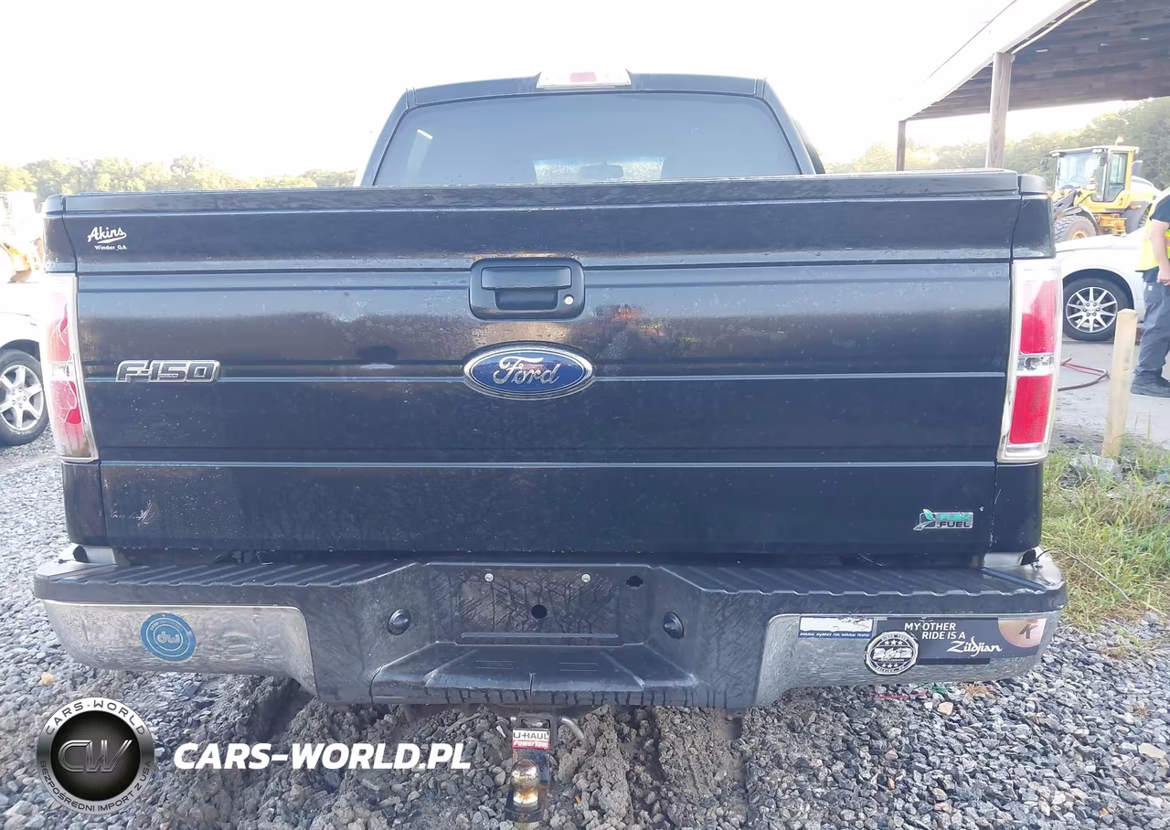 2010 Ford F-150 Fx2 Sport-Harley-Davidson-King Ranch-Lariat-Platinum-Xl-Xlt VIN:1FTFW1CV2AFA82463 - 16