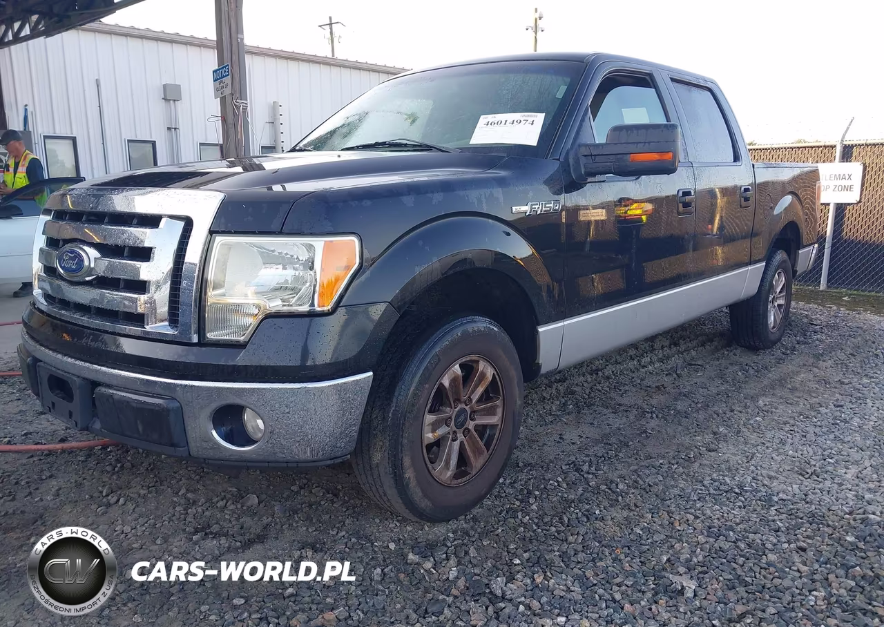 2010 Ford F-150 Fx2 Sport-Harley-Davidson-King Ranch-Lariat-Platinum-Xl-Xlt VIN:1FTFW1CV2AFA82463 - 2