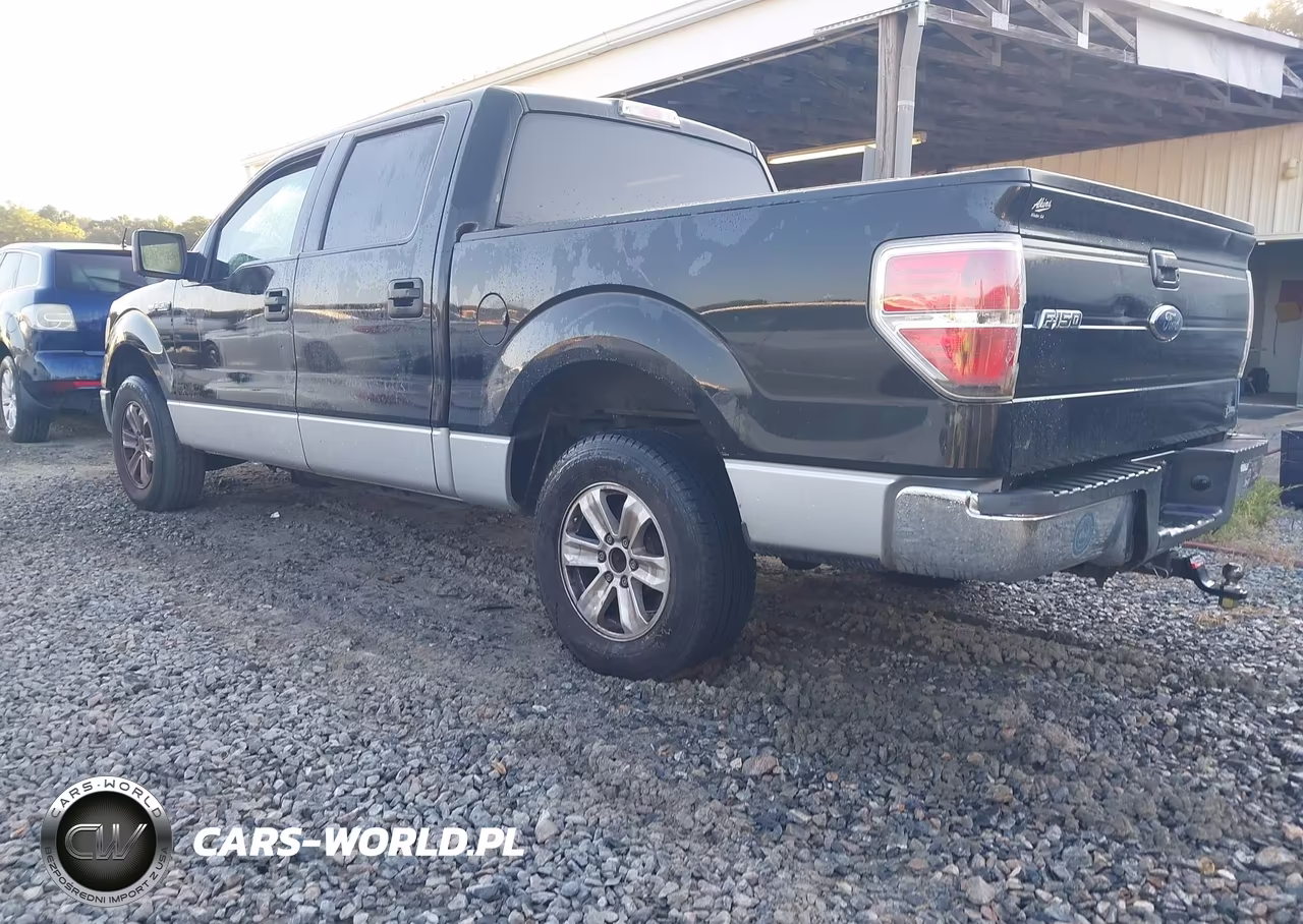 2010 Ford F-150 Fx2 Sport-Harley-Davidson-King Ranch-Lariat-Platinum-Xl-Xlt VIN:1FTFW1CV2AFA82463 - 3