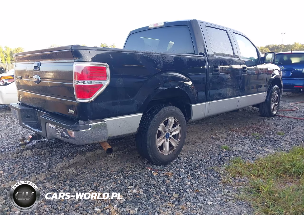 2010 Ford F-150 Fx2 Sport-Harley-Davidson-King Ranch-Lariat-Platinum-Xl-Xlt VIN:1FTFW1CV2AFA82463 - 4