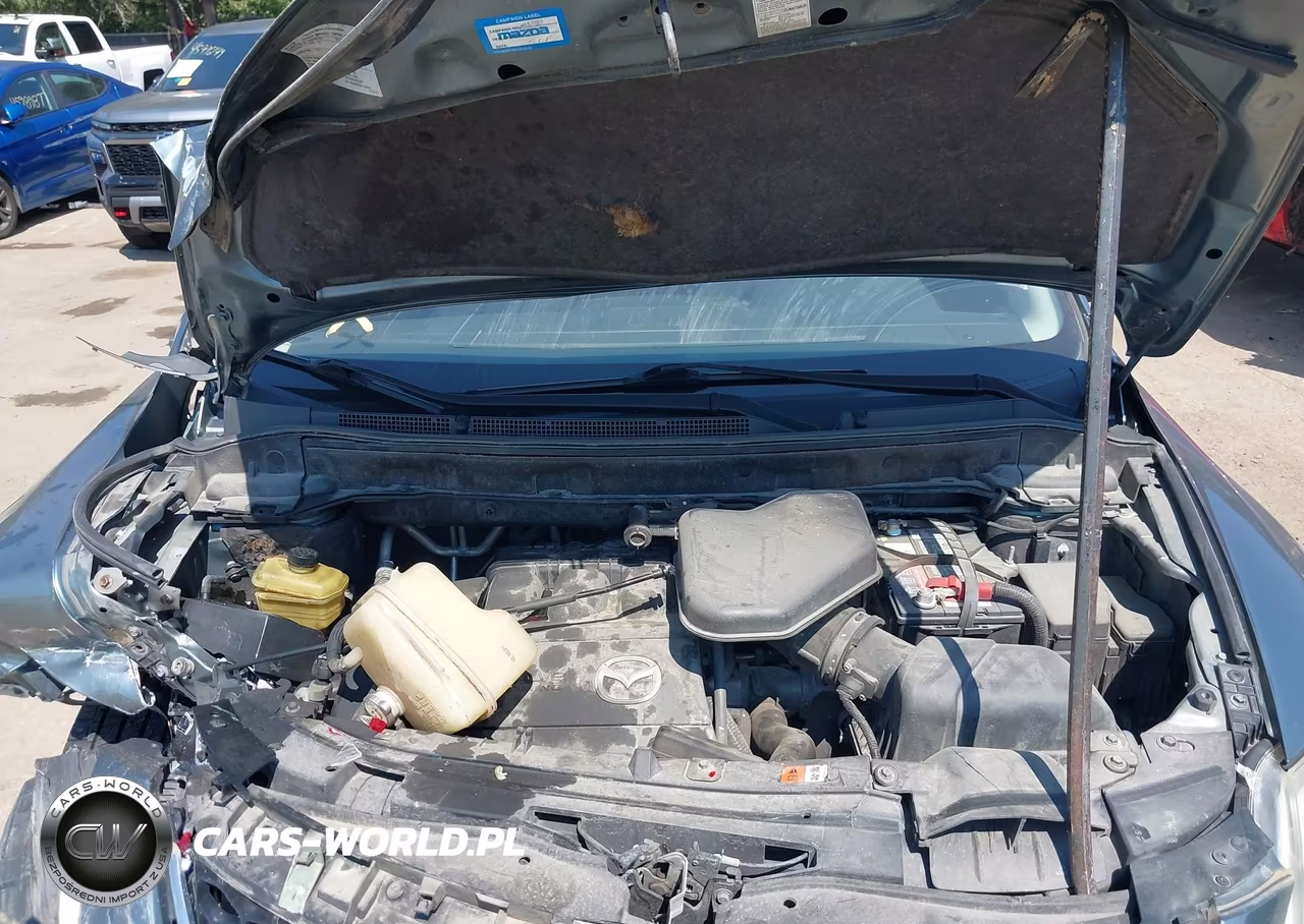 2011 Mazda Cx-9 Grand Touring VIN:JM3TB3DA0B0305990 - 10