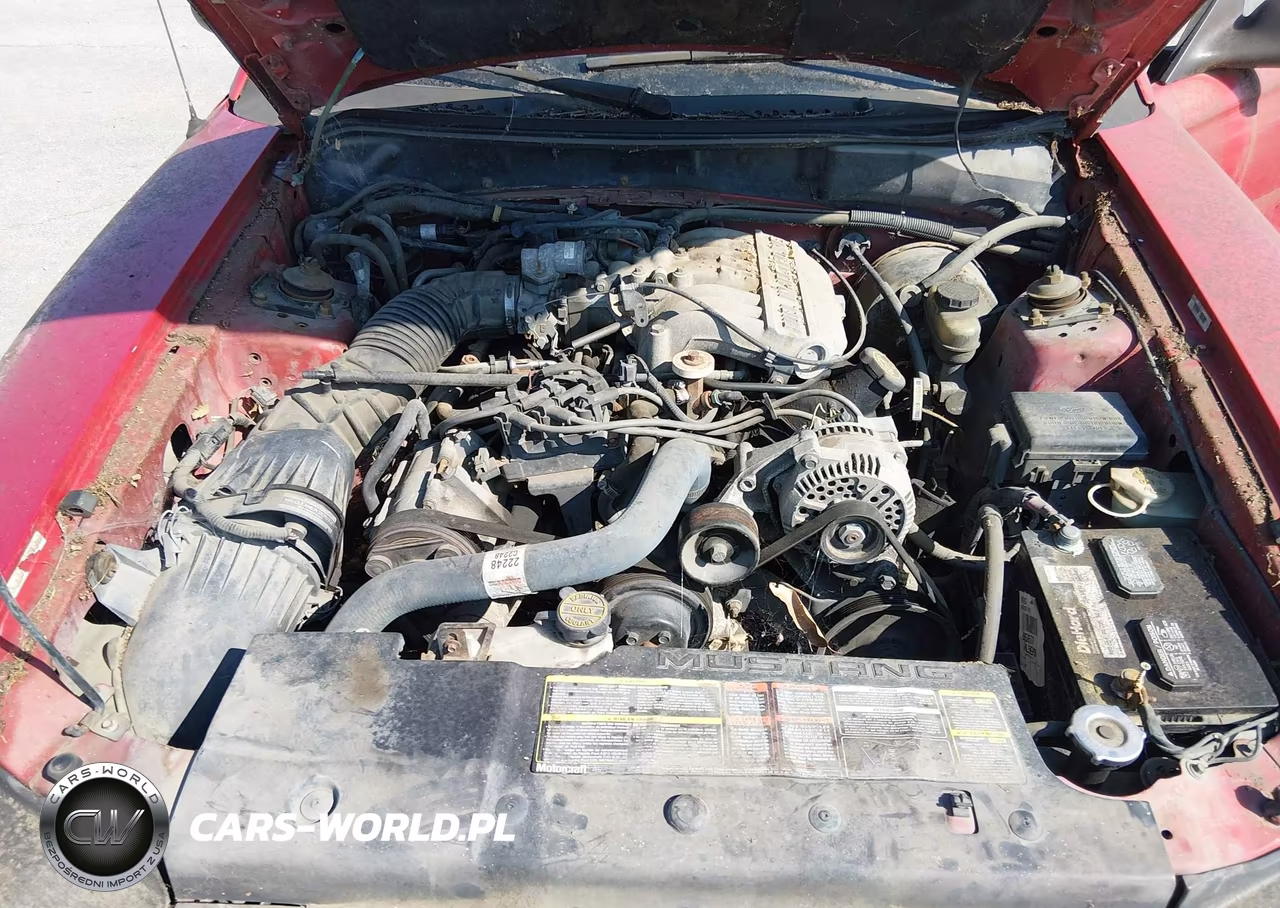 1996 Ford Mustang VIN:1FALP4046TF219409 - 10