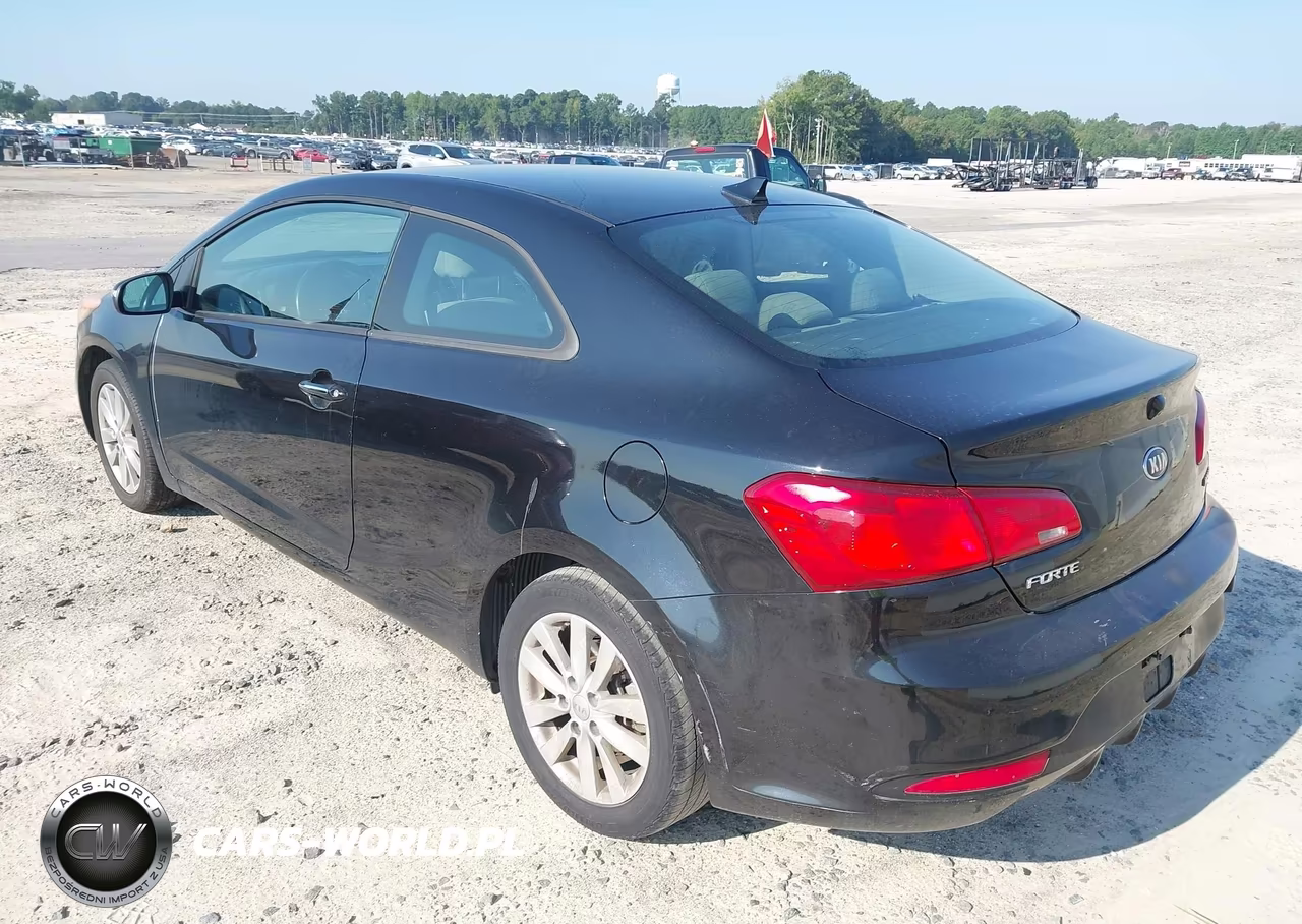 2014 Kia Forte Koup Ex VIN:KNAFX6A80E5229606 - 3