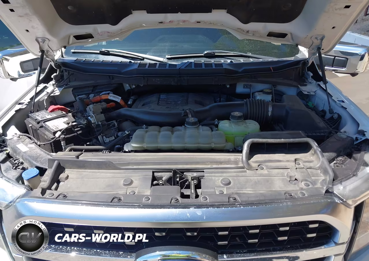 2021 Ford F-150 Platinum VIN:1FTFW1ED3MFB43229 - 10