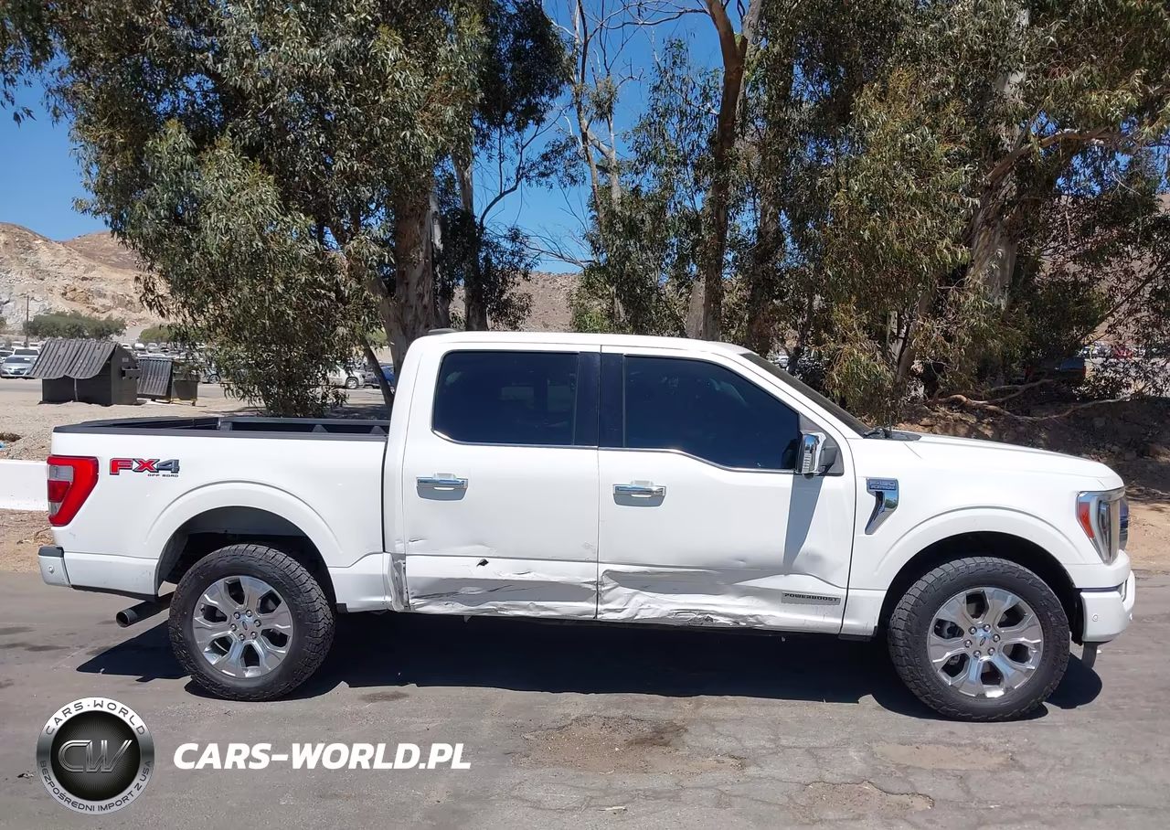 2021 Ford F-150 Platinum VIN:1FTFW1ED3MFB43229 - 13