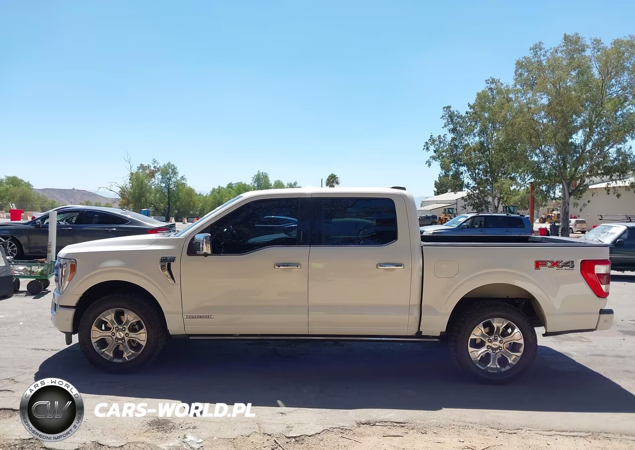 2021 Ford F-150 Platinum VIN:1FTFW1ED3MFB43229 - 14
