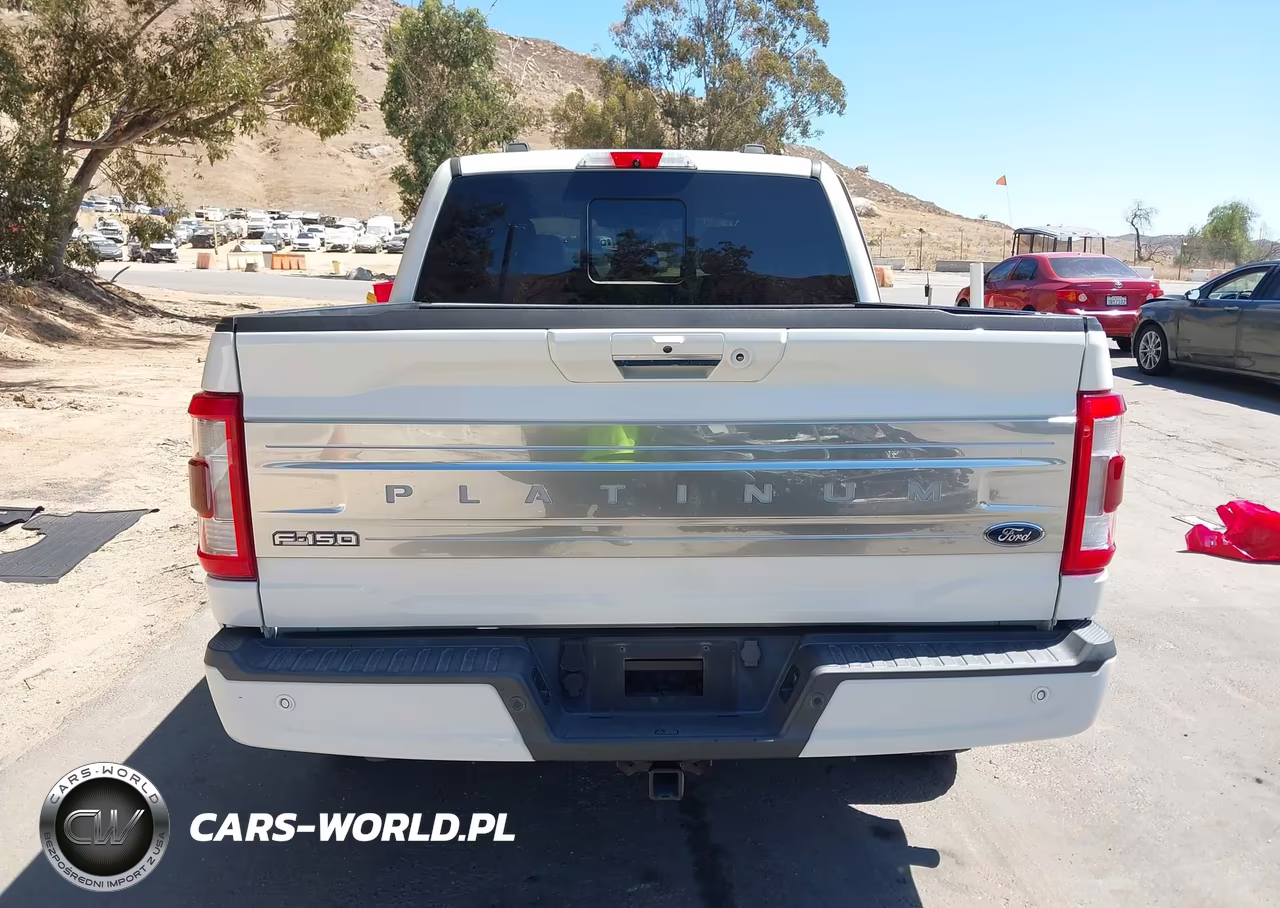 2021 Ford F-150 Platinum VIN:1FTFW1ED3MFB43229 - 16