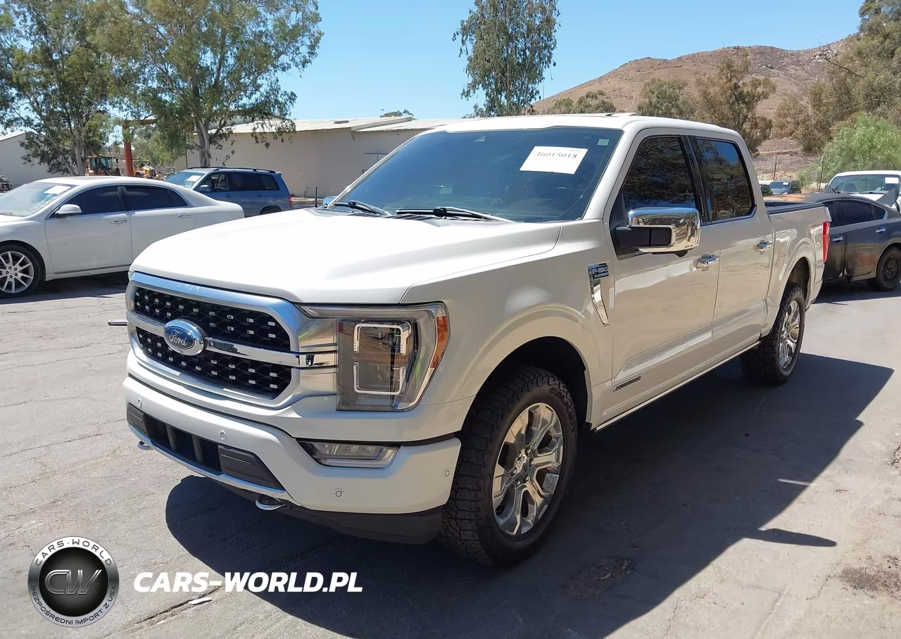 2021 Ford F-150 Platinum VIN:1FTFW1ED3MFB43229 - 2