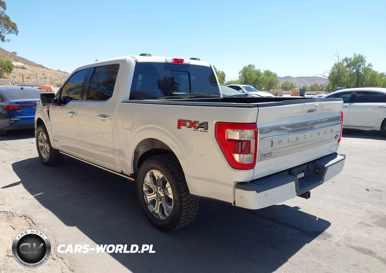 2021 Ford F-150 Platinum VIN:1FTFW1ED3MFB43229 - 3
