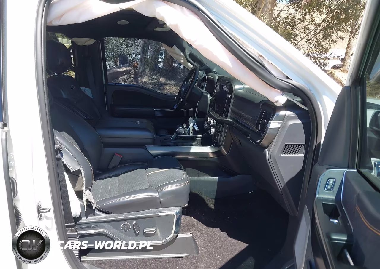 2021 Ford F-150 Platinum VIN:1FTFW1ED3MFB43229 - 5