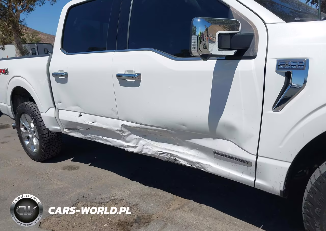 2021 Ford F-150 Platinum VIN:1FTFW1ED3MFB43229 - 6