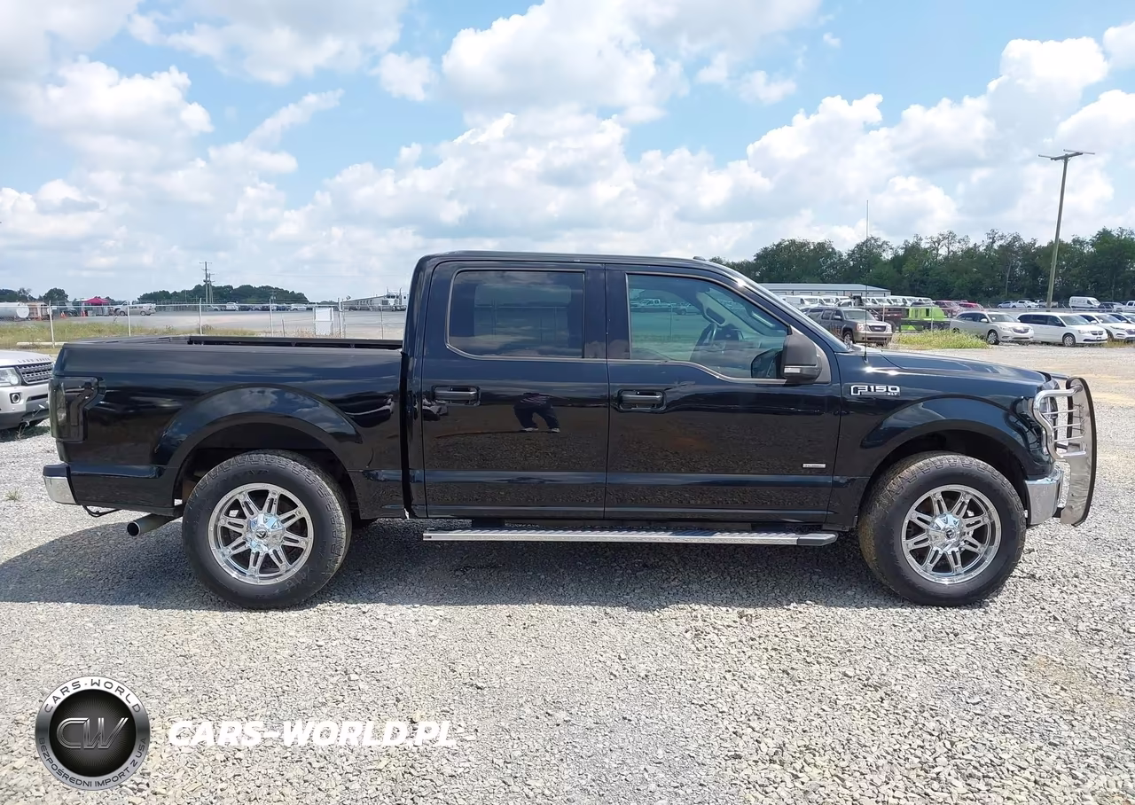 2016 Ford F-150 Xlt VIN:1FTEW1EP7GFB79564 - 13