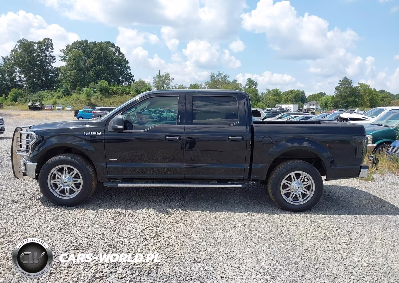 2016 Ford F-150 Xlt VIN:1FTEW1EP7GFB79564 - 14
