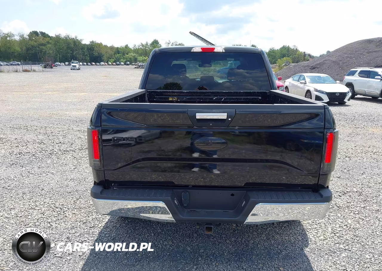 2016 Ford F-150 Xlt VIN:1FTEW1EP7GFB79564 - 16