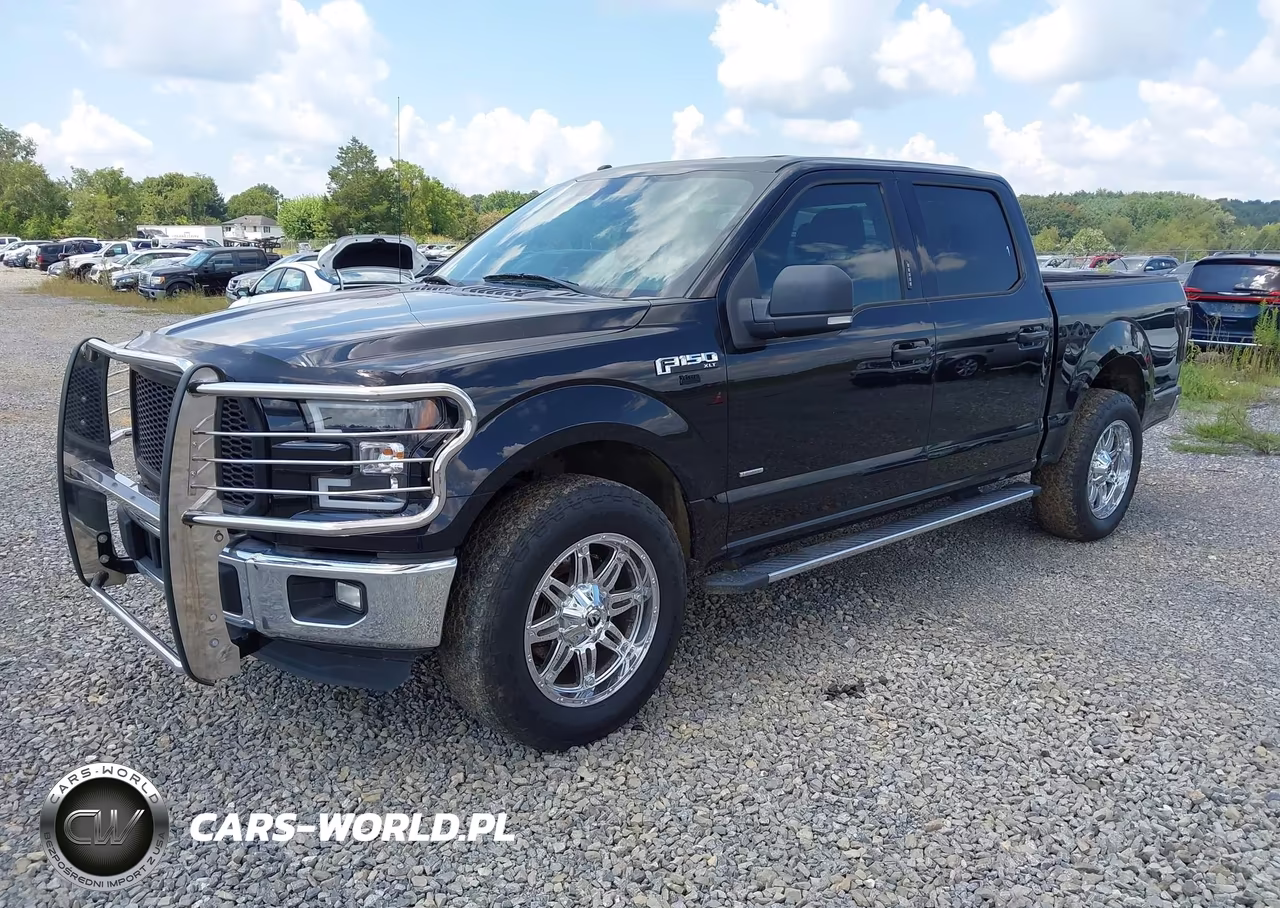2016 Ford F-150 Xlt VIN:1FTEW1EP7GFB79564 - 2