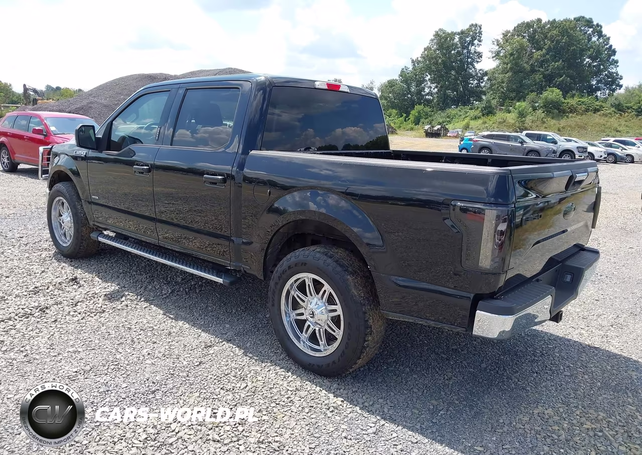 2016 Ford F-150 Xlt VIN:1FTEW1EP7GFB79564 - 3