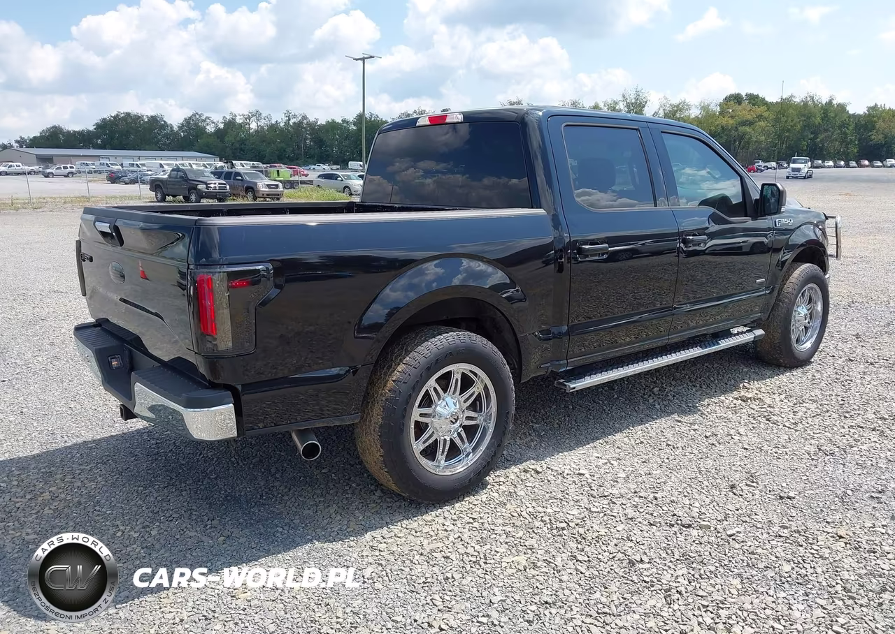 2016 Ford F-150 Xlt VIN:1FTEW1EP7GFB79564 - 4