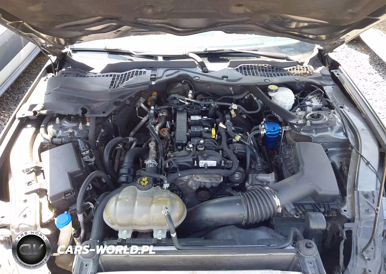 2020 Ford Mustang Ecoboost -Ecoboost Premium VIN:1FATP8UH1L5131863 - 10