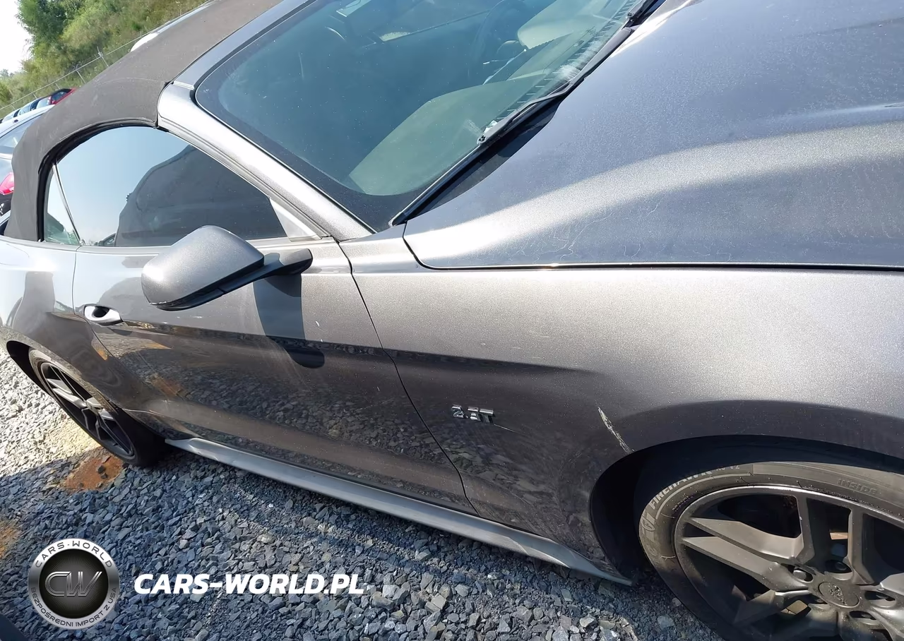 2020 Ford Mustang Ecoboost -Ecoboost Premium VIN:1FATP8UH1L5131863 - 14