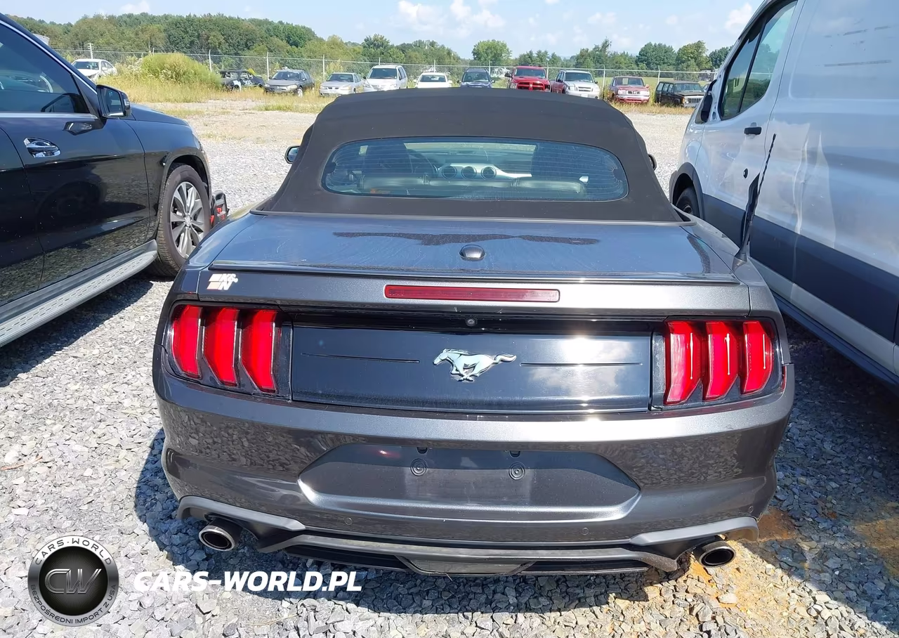 2020 Ford Mustang Ecoboost -Ecoboost Premium VIN:1FATP8UH1L5131863 - 17
