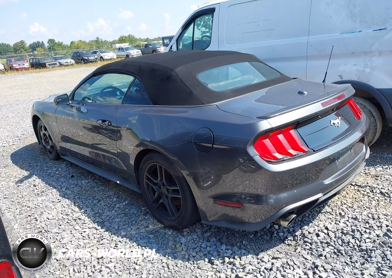 2020 Ford Mustang Ecoboost -Ecoboost Premium VIN:1FATP8UH1L5131863 - 3