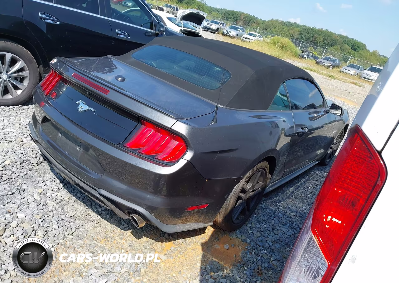 2020 Ford Mustang Ecoboost -Ecoboost Premium VIN:1FATP8UH1L5131863 - 4
