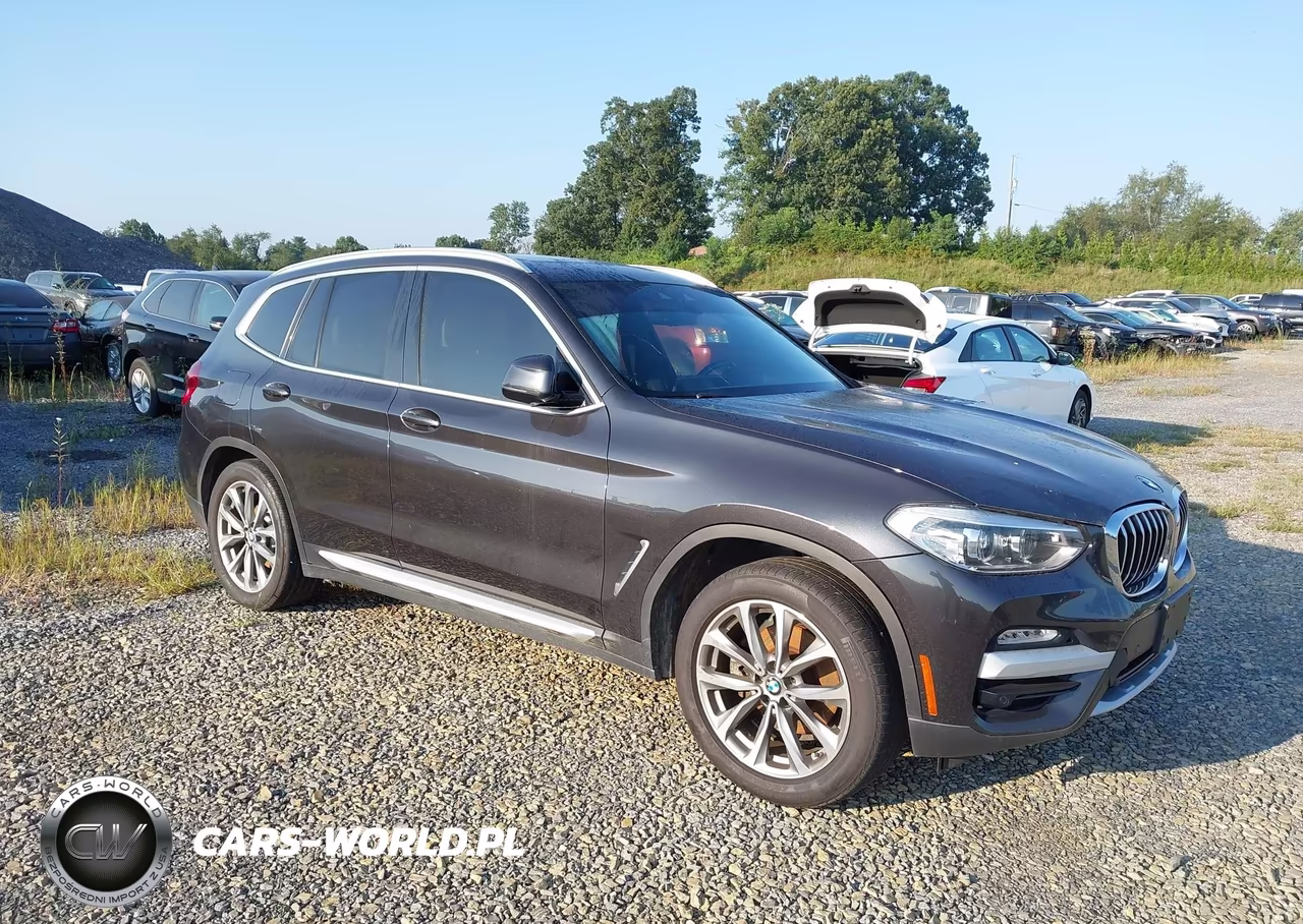 2019 BMW X3 xDrive30I – zdjęcie 1 z 16