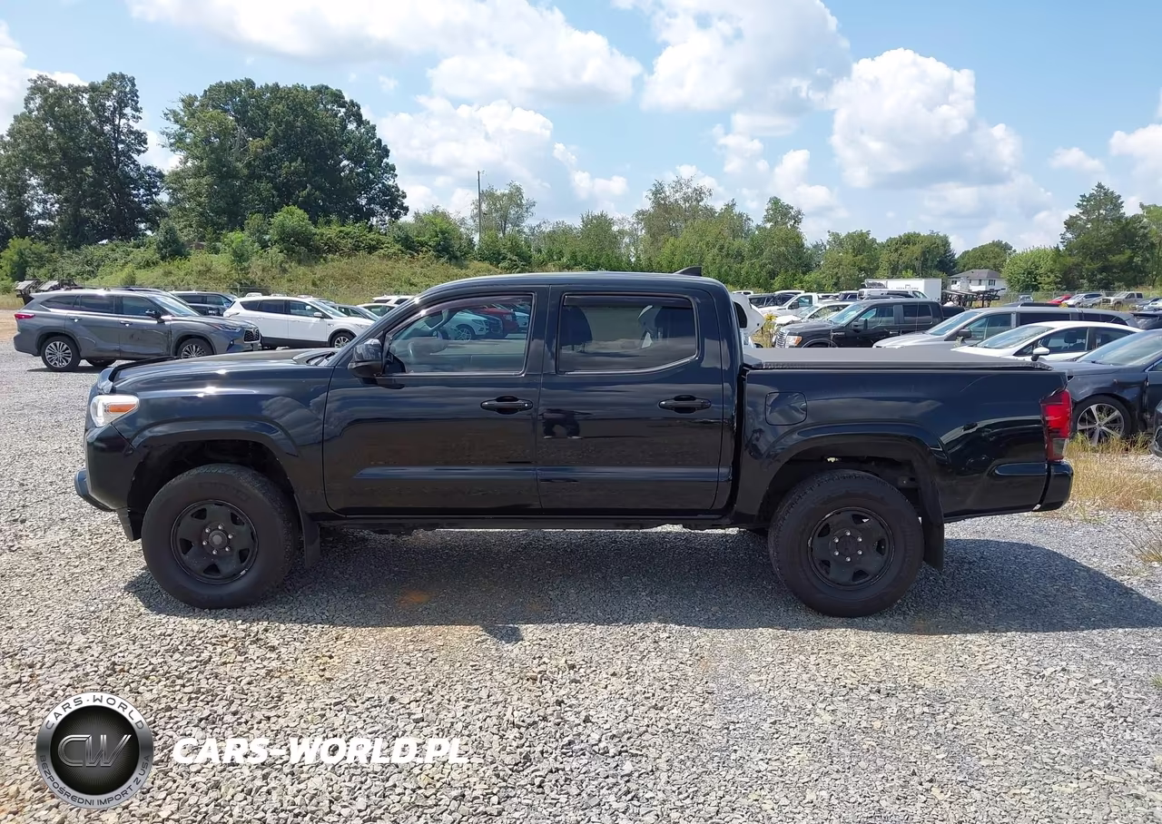 2019 Toyota Tacoma Sr V6 VIN:3TMCZ5AN3KM199099 - 14