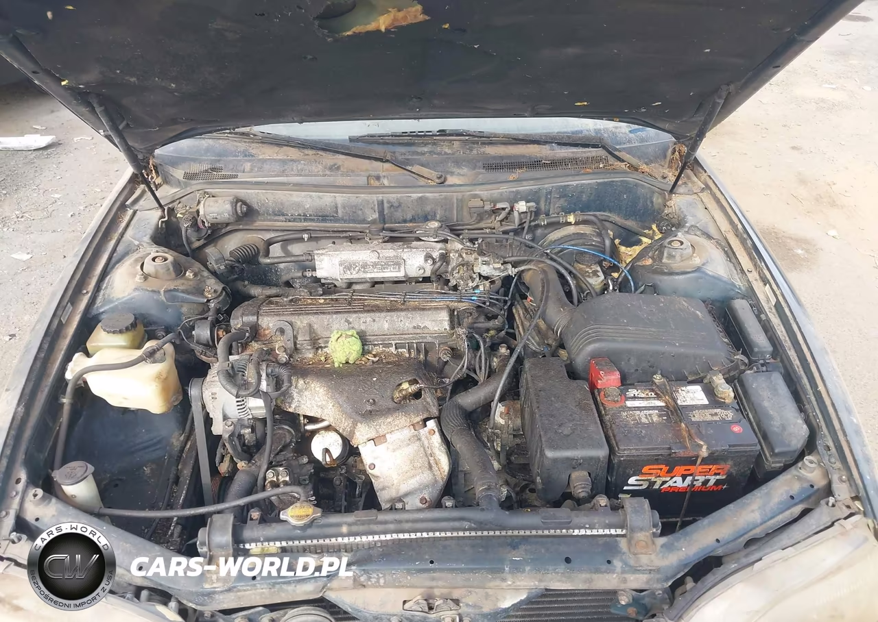 1996 Toyota Camry Dx-Le-Xle VIN:JT2BG12K4T0419037 - 10