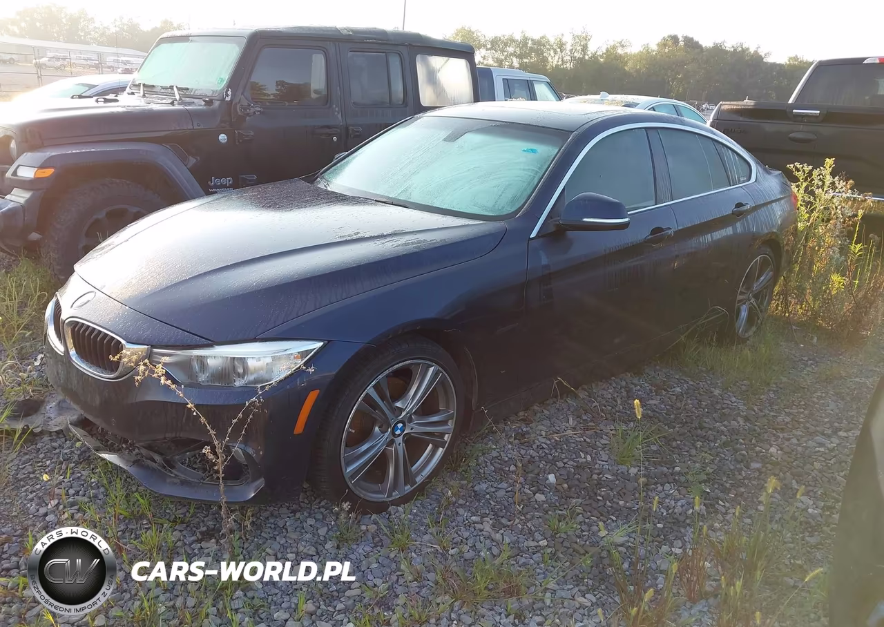 2016 BMW 428I Gran Coupe VIN:WBA4A9C55GG505055 - 2