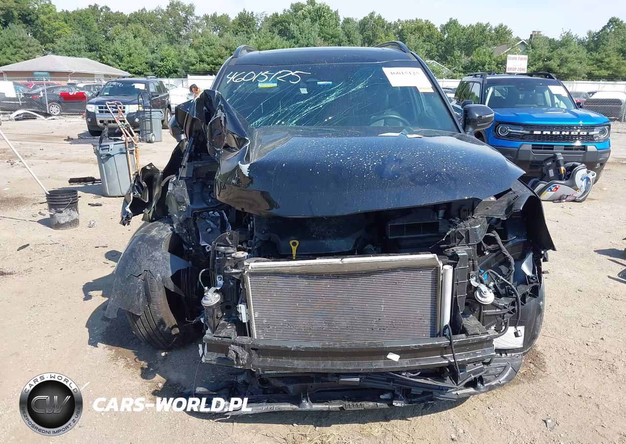 2024 Kia Telluride Ex X-Line VIN:5XYP3DGC5RG519291 - 13
