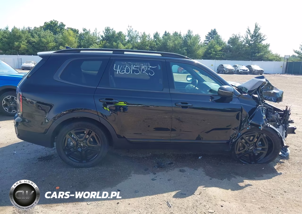 2024 Kia Telluride Ex X-Line VIN:5XYP3DGC5RG519291 - 14