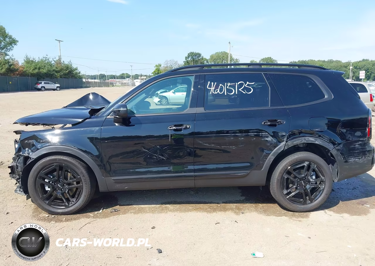 2024 Kia Telluride Ex X-Line VIN:5XYP3DGC5RG519291 - 15