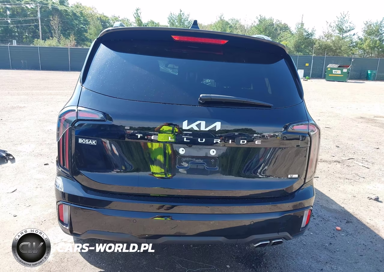 2024 Kia Telluride Ex X-Line VIN:5XYP3DGC5RG519291 - 17