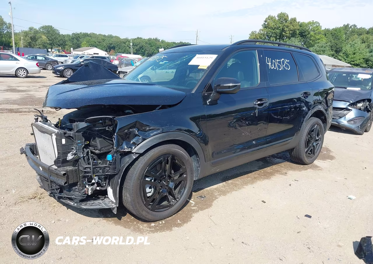 2024 Kia Telluride Ex X-Line VIN:5XYP3DGC5RG519291 - 2