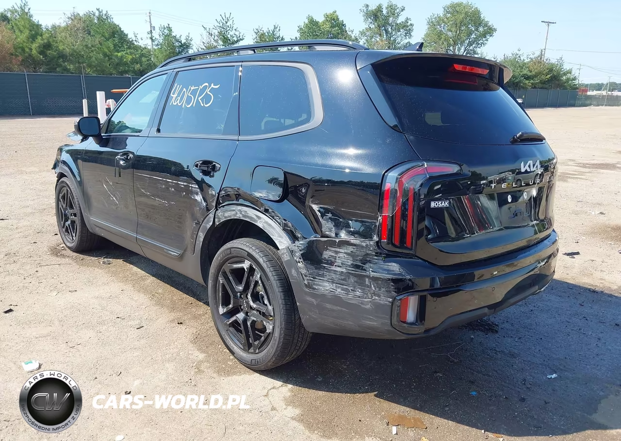 2024 Kia Telluride Ex X-Line VIN:5XYP3DGC5RG519291 - 3