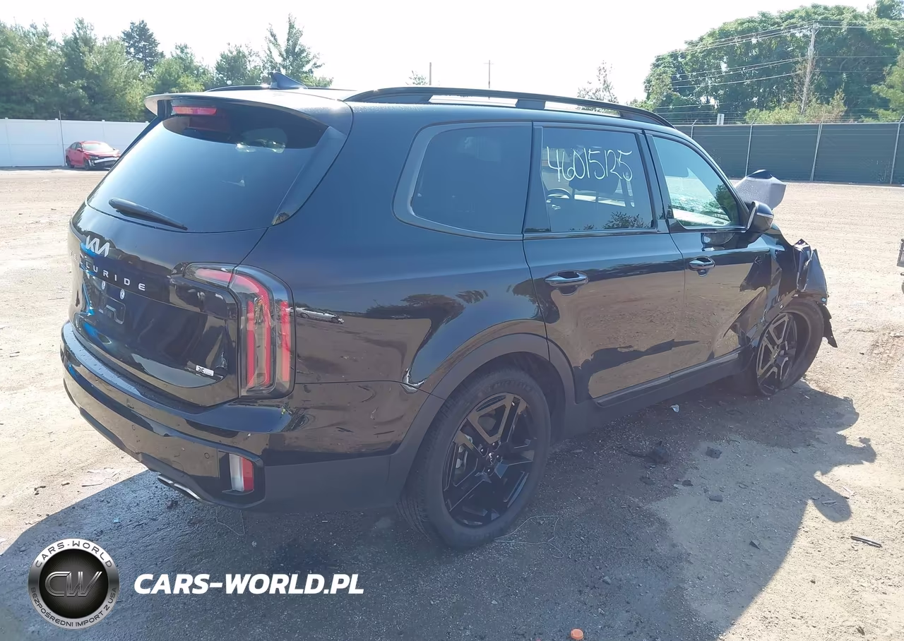 2024 Kia Telluride Ex X-Line VIN:5XYP3DGC5RG519291 - 4