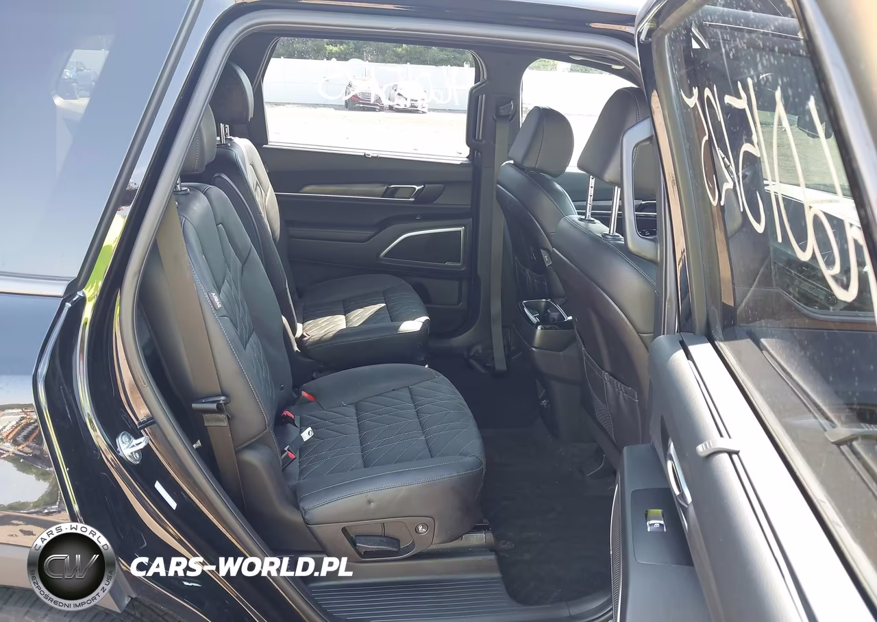 2024 Kia Telluride Ex X-Line VIN:5XYP3DGC5RG519291 - 8