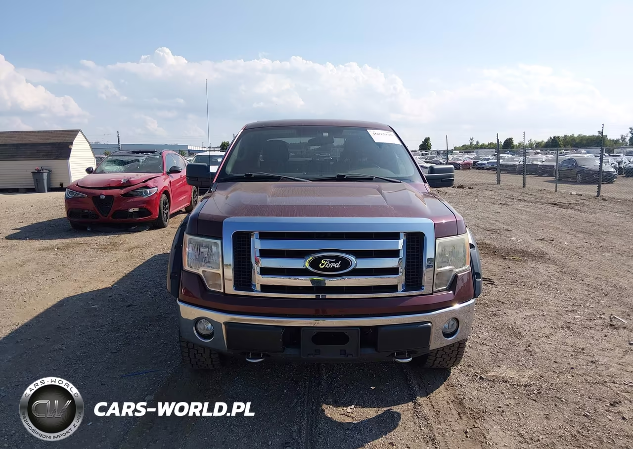 2009 Ford F-150 Fx4-King Ranch-Lariat-Platinum-Xl-Xlt VIN:1FTPW14V99FA96892 - 12