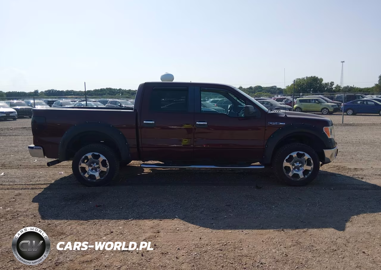 2009 Ford F-150 Fx4-King Ranch-Lariat-Platinum-Xl-Xlt VIN:1FTPW14V99FA96892 - 13